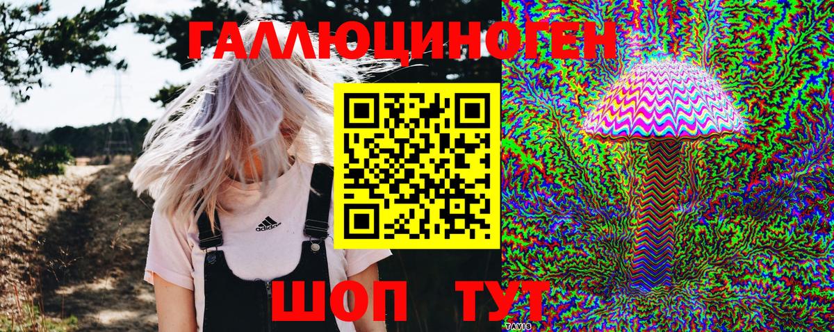 Галлюциногенные грибы ЛСД  Галлюциногенные грибы GOLDEN TEACHER  Приморско-Ахтарск  Вход с VPN 
